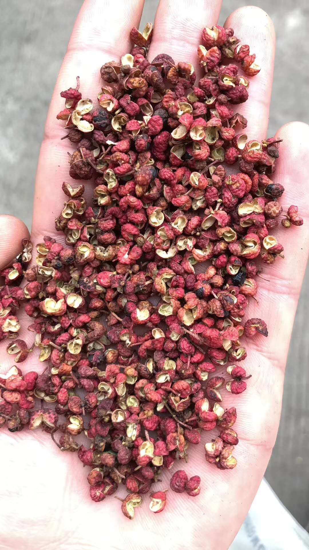 花椒烘干機(jī)多少錢一臺？家用花椒烘干機(jī)，重慶花椒烘干機(jī)廠家