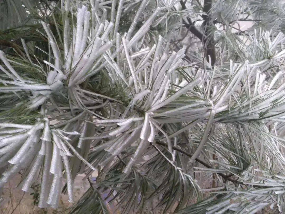 室外大雪紛飛，室內(nèi)溫暖如春，這種爐子取暖簡(jiǎn)直給力！